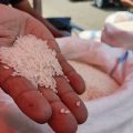 Pasokan beras Sulteng di Gorontalo