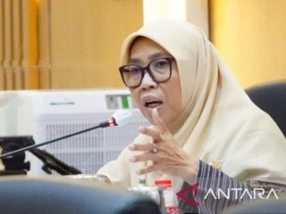 Kasus influenza A meningkat, DPR minta Kemenkes perkuat kewaspadaan tanpa bikin panik